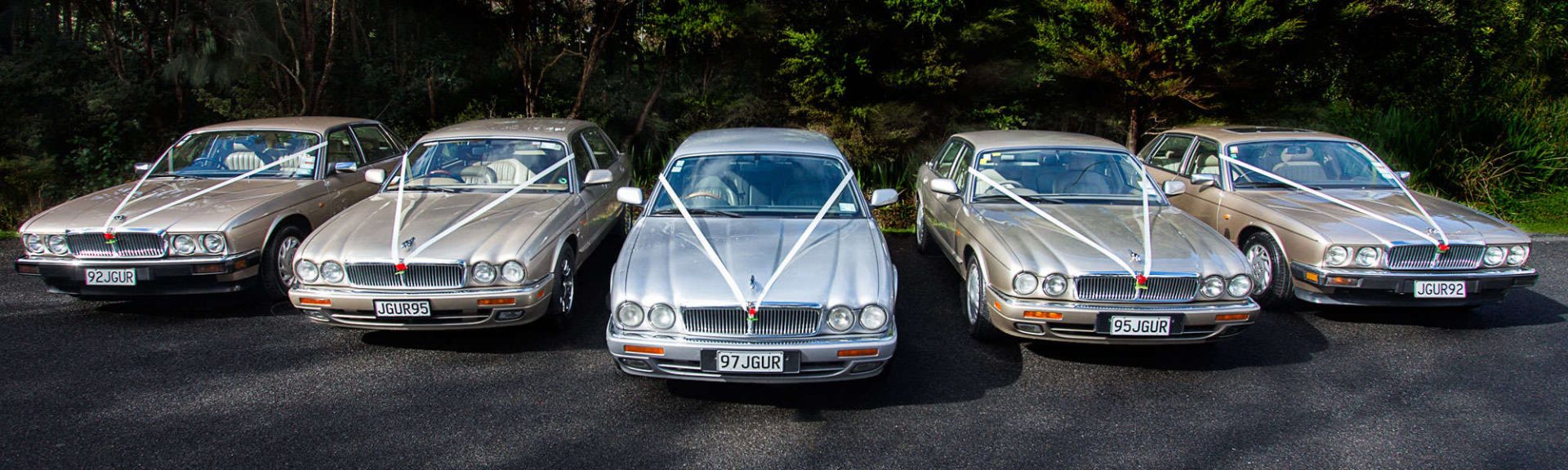 Just Jags