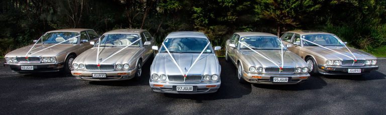 Just Jags