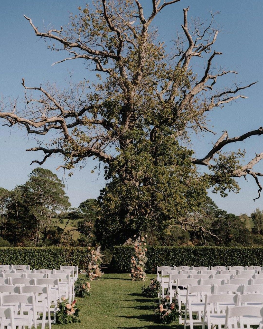 Where rustic charm meets riverside elegance 🌿✨ The Boat House at The Riverhead is the perfect spot for a relaxed, romantic celebration surrounded by stunning views, great food, and warm hospitality 💍

Venue: @theboathousenz 
Photographer: @rebeccabradley.photography 
Celebrant: Lachlan Bone
Dress: @astrabridal.wellington 
Suit: @tarocash 
Rings: @johnfranichnz  @nesiancreations 
Hair & Makeup: @glowandco_weddings 
Florist: @floralessence_nz 
Catering: @theriverheadnz 
Entertainment: @sounzgooddjs 

#NZWeddings #TheBoatHouseRiverhead #WeddingInspo #NZWeddingVenues #LoveInNZ