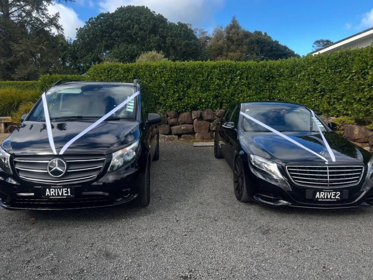 Arrive Driving Services